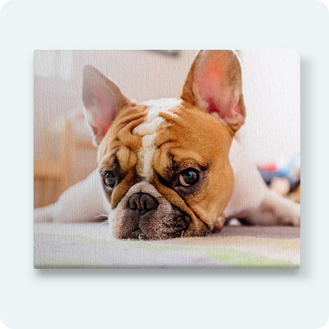 Photo sur Toiles Peronnalis&eacute;es